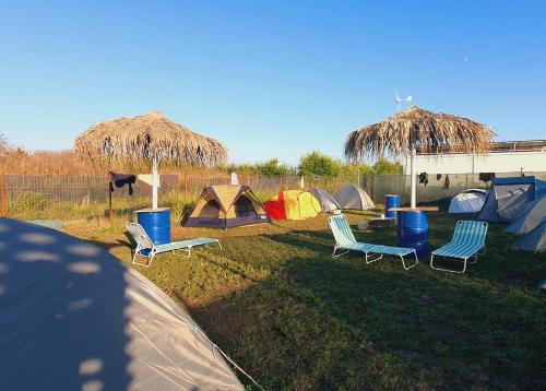a group of tents and chairs in the grass at Free People Camping in Vama Veche