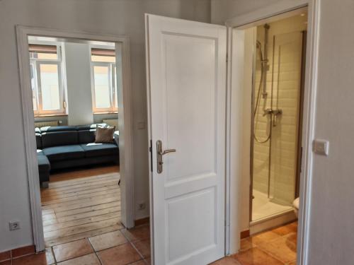 a door leading to a bathroom with a shower at Gemütliche Stadtwohnung im Zentrum in Weinheim