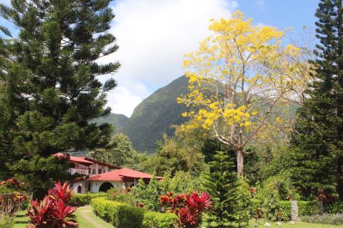 a garden with trees and a mountain in the background at Hotel Valle Verde in Valle de Anton