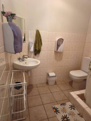 a bathroom with a sink and a toilet and a mirror at Baltakmeņu muiža in Mujani