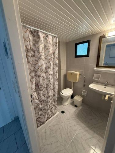 a bathroom with a shower and a toilet and a sink at Villa Filoxenia Studios Alykes in Katastárion