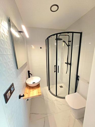 a bathroom with a shower and a toilet and a sink at Apartamentos Mar de Nanín in Sanxenxo