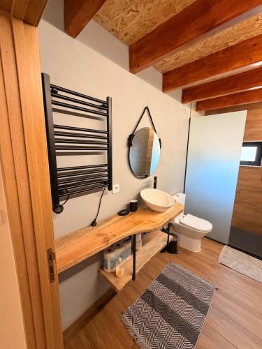 a bathroom with a sink and a mirror and a toilet at Encantos da Aldeia - Casa da Pedra in Oliveira de Azemeis