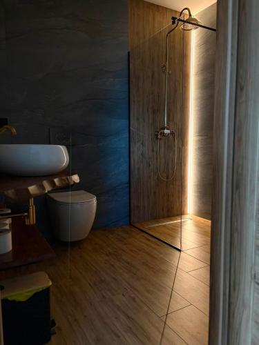 a bathroom with a shower with a toilet and a sink at Mały Gazda - całoroczne duże domki o powierzchni 130m z salą zabaw dla dzieci, dla 12 osób in Gliczarów Górny