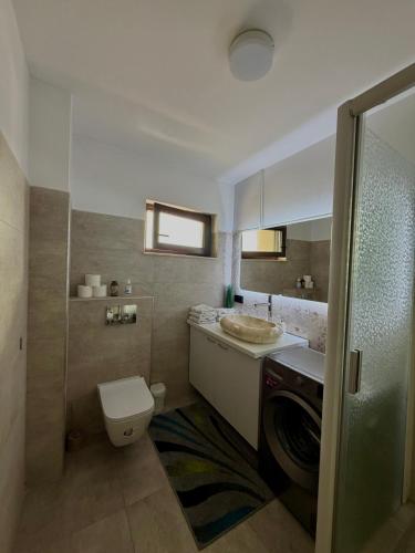 a small bathroom with a toilet and a sink at Blue Apartment with Free Parking&Self Check-in in Bistriţa