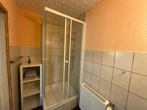 a shower with a glass door in a bathroom at Il tempio del Gusto in Oelsnitz