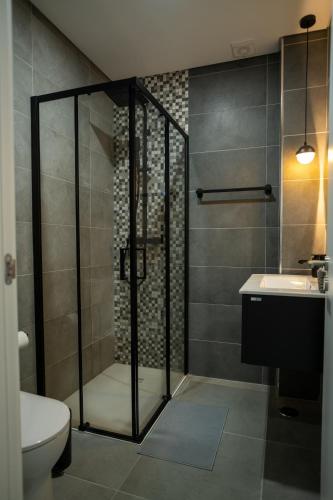 a bathroom with a shower and a toilet and a sink at Côa River Apartment in Vila Nova de Foz Coa