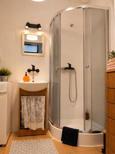 a bathroom with a shower and a sink at Agroturystyka Kobylnica nad Wisłą in Kobylnica