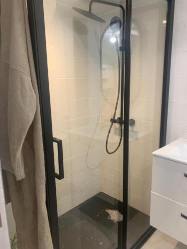 a shower with a glass door in a bathroom at Chambres d hôtes H in Lavelanet