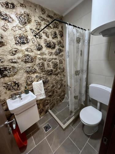 a bathroom with a shower and a toilet and a sink at Old lake house in Nikšić