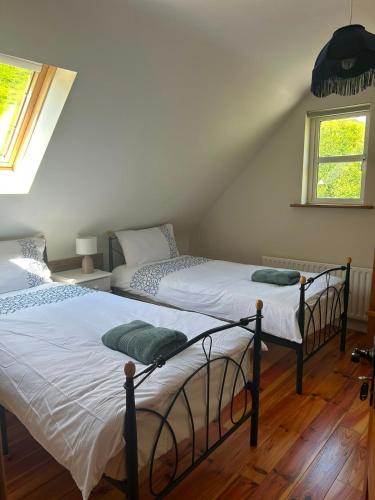two twin beds in a room with a attic at Griggins House in Cur