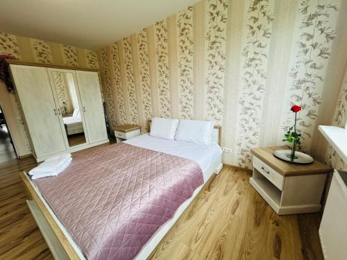 a bedroom with a large bed and a mirror at Levandų šeimyniniai apartamentai su vonia ir sodu in Ryškėnai