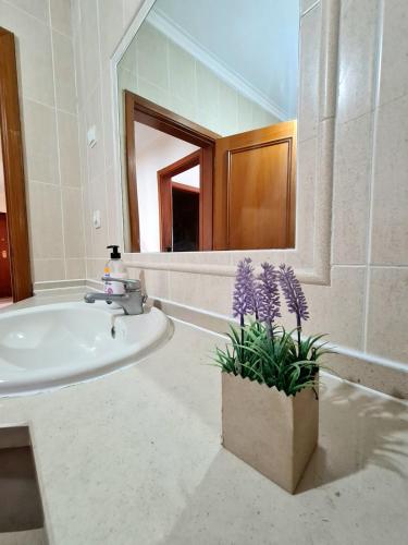 T3 Apartment 500m from beach