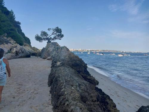 T3 Apartment 500m from beach