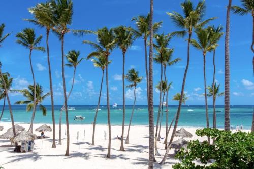 a group of palm trees on the beach at SUMMERTIME SUITES - plaza DUKASI - playa LOS CORALES in Punta Cana