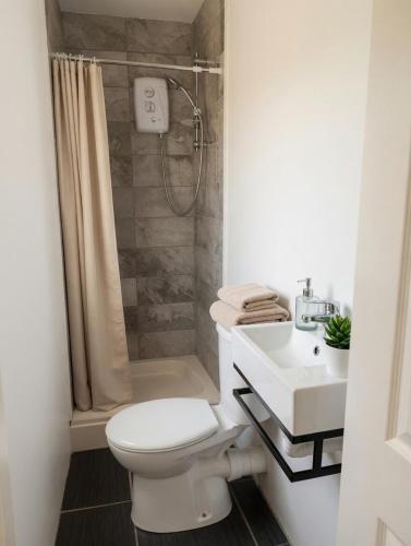 a bathroom with a toilet and a sink and a shower at Dunmore East Studio in Rathmoylan