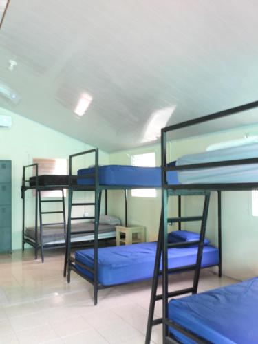 three bunk beds in a room with blue sheets at The Frontside Surf House in Tamarindo