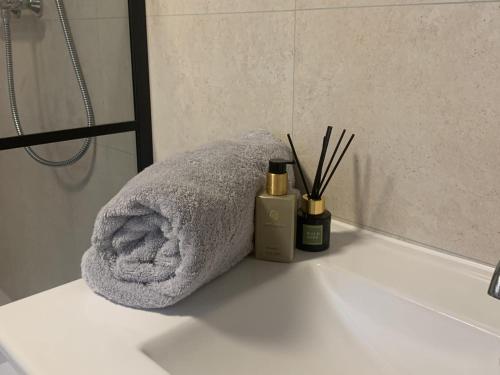 a towel sitting on a counter in a bathroom at Villa Fox in IJhorst