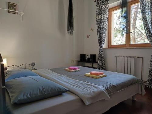 Family friendly house with a swimming pool Seget - Umag - 27237