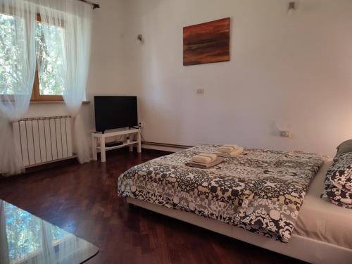 Family friendly house with a swimming pool Seget - Umag - 27237