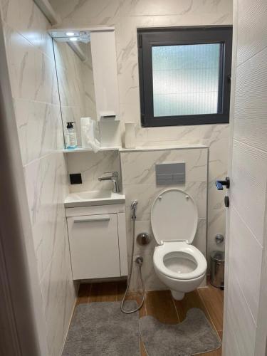 a small bathroom with a toilet and a sink at Breeze Cabin كوخ النسيم in Ilijaš