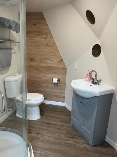 a bathroom with a sink and a toilet in a attic at Blue Bayou Dome cottages in Dingwall