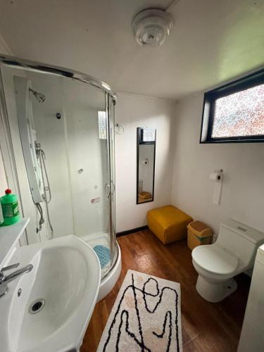 a bathroom with a shower and a sink and a toilet at Casa familiar Queule in Queule