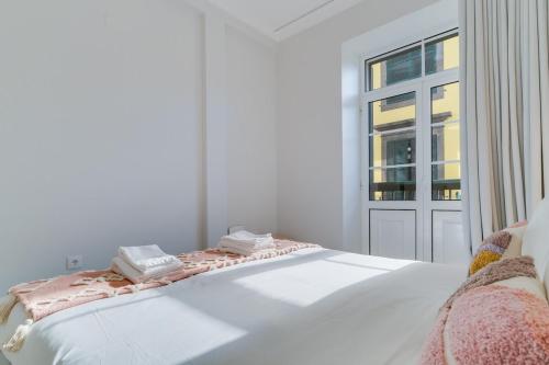 Funchal City Nest Ii - Central Apartment