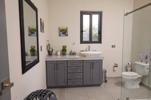 a bathroom with a sink and a toilet and a mirror at Casa de Cuatro Vientos in Álamos