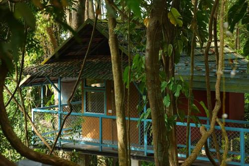 a tree house in the middle of trees at Glen Brooks Resorts in Calicut