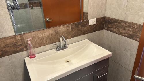 a bathroom with a white sink and a mirror at Natura suite's & eventos in Guadalajara