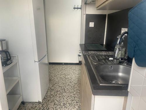 Appartement traversant avec parking - 4 pers. - FR-1-833-48