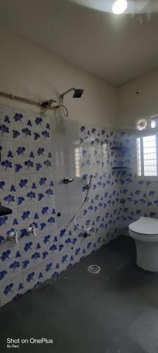 a bathroom with a toilet and blue and white tiles at Archana Guest House River View in Hampi