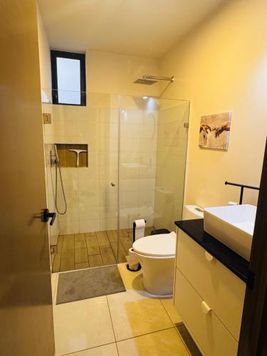 a bathroom with a shower and a toilet and a sink at Refugio urbano Saori in Guadalajara