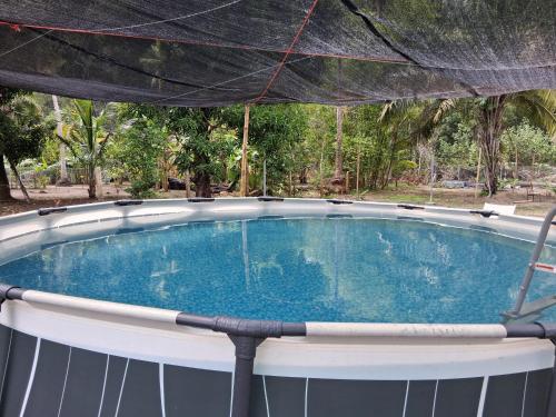 a large swimming pool with an umbrella over it at Villa La Patrona in Parrita
