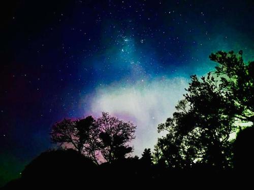 a green and purple sky with trees in the foreground at The Aurora House - BBQ Firepit Stargazing in Tea Tree