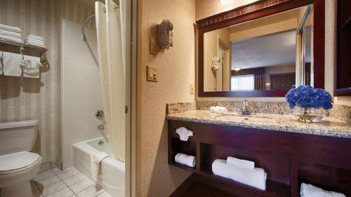 a bathroom with a sink and a toilet and a mirror at Best Western Pasadena Inn in Pasadena