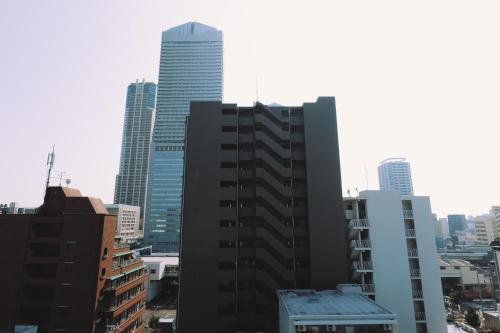 文景波除house
