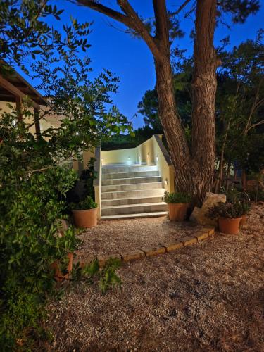 a house with stairs and a tree at night at Case Vacanza il Sole in La Maddalena
