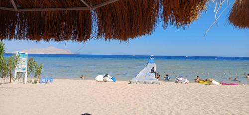a group of people on a beach with the ocean at Red Sea Serenity in Sharm El Sheikh