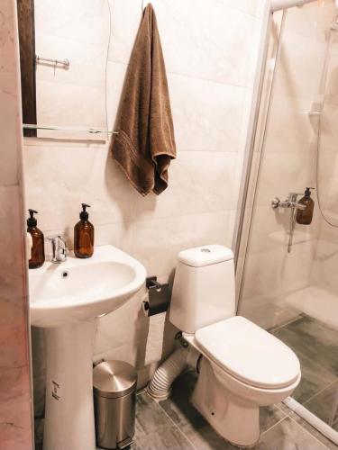 a bathroom with a toilet and a sink and a shower at Shekvetili Cottage Nene in Shekhvetili