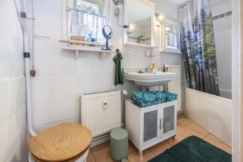a small bathroom with a sink and a toilet at Fuchsrevier Fox District Apartment in Erkerode