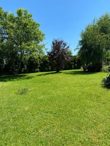 a field of green grass with trees in the background at Dom lub apartamenty z widokiem na góry Wichrowe Wzgórza z basenem Brenna in Ustroń
