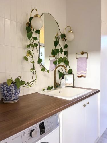 a bathroom with a sink and a mirror at Studio Jean - Dog-Friendly in Bremer Bay