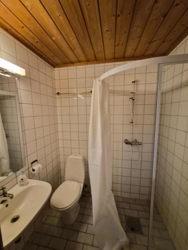 a bathroom with a shower and a toilet and a sink at Nedre Berg Gard in Lillehammer