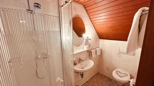 a bathroom with a shower and a sink and a toilet at Hotel-Landgasthof Grüner Baum - Dittigheim in Tauberbischofsheim