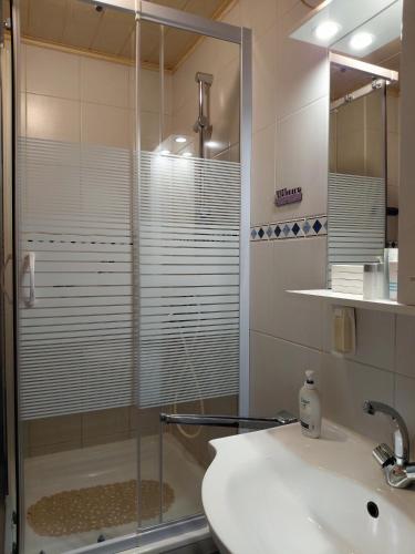 ein Badezimmer mit Glasdusche und Waschbecken in der Unterkunft Apartman 1 RIBIČ in Ogulin