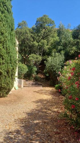 Family villa in wooded estate near the sea