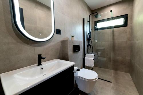 a bathroom with a sink and a toilet and a mirror at Perućac Lake Residence in Miličevići