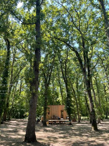 a picnic table in the middle of a forest at Tiny housse in Conne-de-Labarde